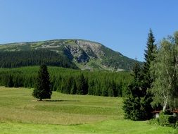 The Solitude Of The Mountain Forest