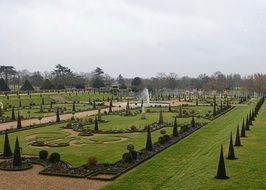 Garden Ornamental
