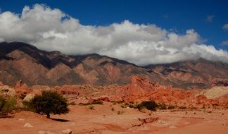 Landscape of nature in argentina