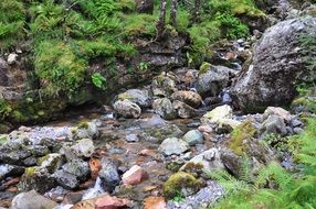 stones in a valley near the village of ballachulish in scotland