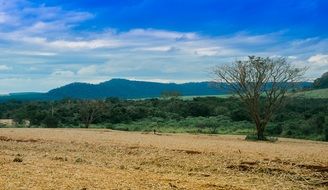 rural field in Brazil
