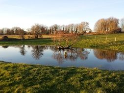 flood near the river
