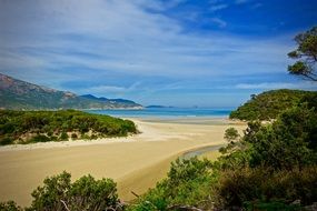 panorama of a tidal river at wilsons promontory