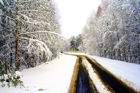 river channel in winter forest