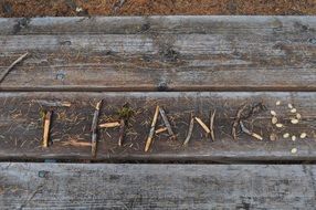 "Thanks" on the table