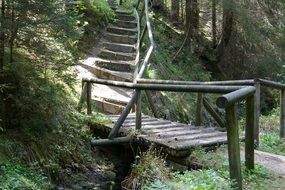 stunningly beautiful Bridge Wood