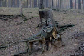 Picture of Wood Carving in a forest