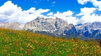 flowering meadow against the backdrop of the mountains in Alta Badia