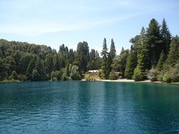 forest near the lake in Bariloche
