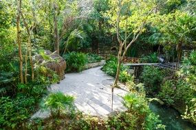 tropical park in mexico