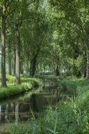 Bruges Lady Channel Light