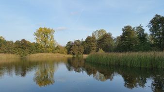 Landscape of beautiful and colorful nature with trees on the shore of the lake in autumn