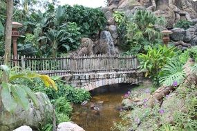 stone bridge in the landscape park