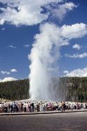 Landscape with the geyser in Yellowstone Park