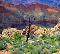 Landscape Picture of the Grand Canyon in Arizona