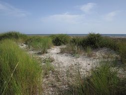 Dune Sand Beach