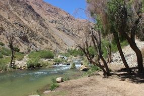 cochiguaz river in a valley in the mountains of chile