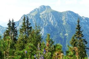 distant view of tegelberg mountain in bavaria