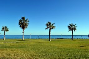 incredibly handsome Palm Spain