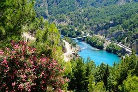 beautiful Mountain Landscape with blooming tree, forest and bridge above water, Turkey