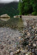 rocky shore of the lake among the forest