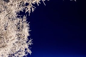 Cold Winter Outdoo