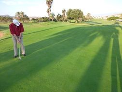 golf player with a club on a green field