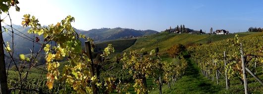 Weingut Primus - Southern Styria это винодельня в Австрии