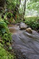 river among the nature of japan