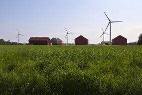 windmills and rural houses on the field