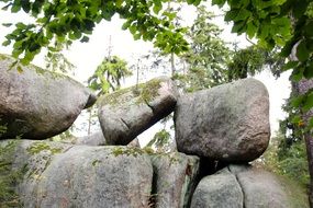 large stones among green trees in the Seychelles