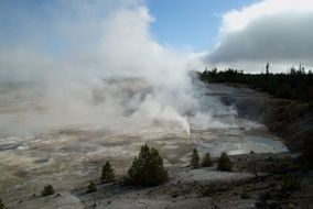 Beautiful landscape of Yellowstone Hot Springs among the plants