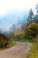 turn of a forest road on a background of foggy Bieszczady