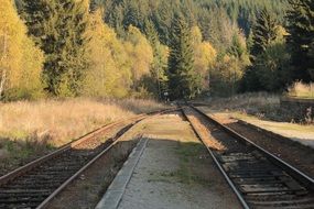 railway near the forest