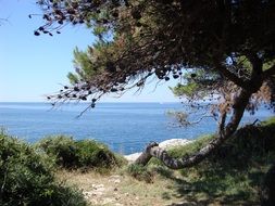 Outlook coast in Croatia