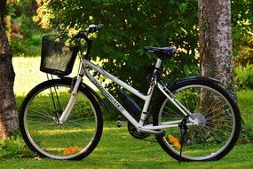 bike with basket on green grass in the park