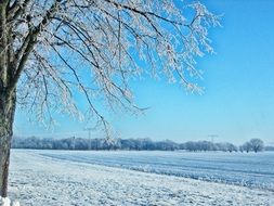 Landscape of the wintry fields in Brandenburg