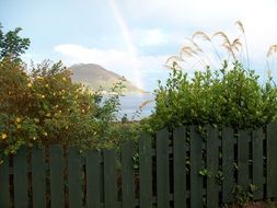 rainbow as a decoration of a picturesque landscape