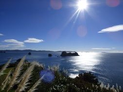 bright sun over the tropical coast