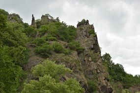 Landscape of trees on a high rock
