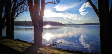 blue lake in a park in Seattle on a sunny day