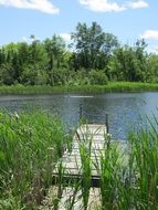 wooden pier in green grass on a pond