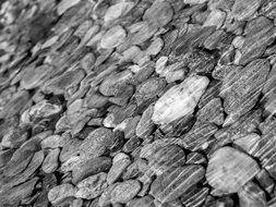 Black and white photo of Stones in a river