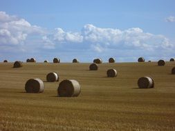 Straw Round Bales