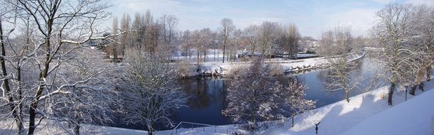 Snow Trees Winter