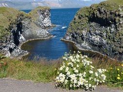 cliffs of snaefellness peninsula