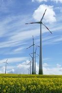 many wind turbines on a rape field on a sunny day