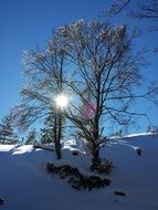 breathtaking Snow Landscape