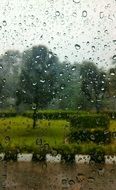 Rain Window