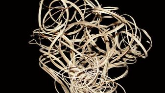twisted dry shrub on a black background